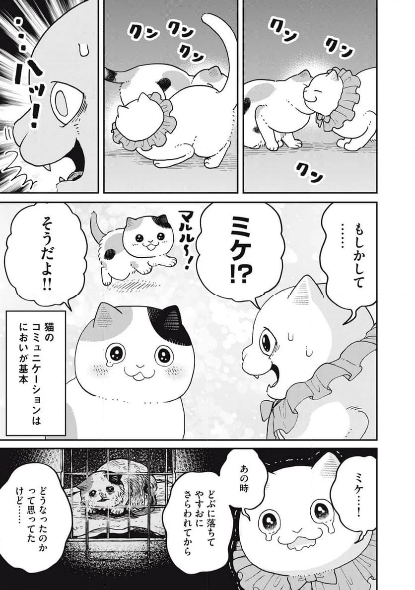 ツレ猫 マルルとハチ 第43話 - Page 7