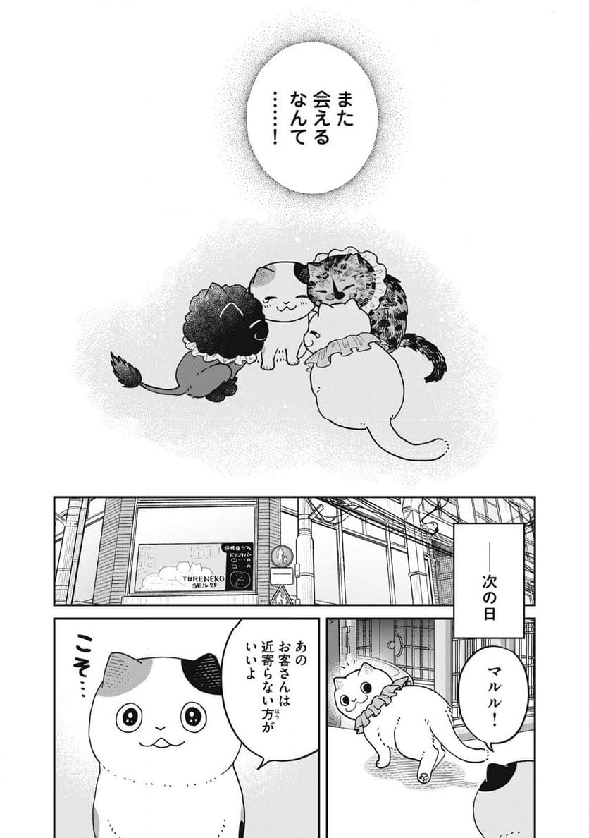 ツレ猫 マルルとハチ 第43話 - Page 8