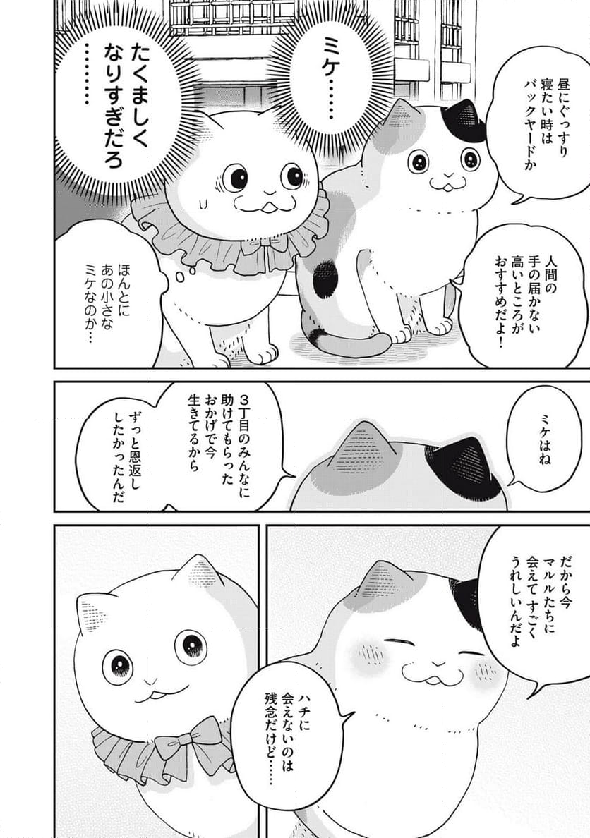 ツレ猫 マルルとハチ 第43話 - Page 10