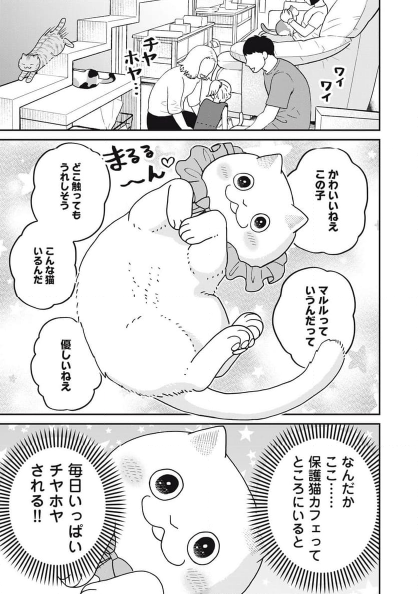 ツレ猫 マルルとハチ 第45話 - Page 1