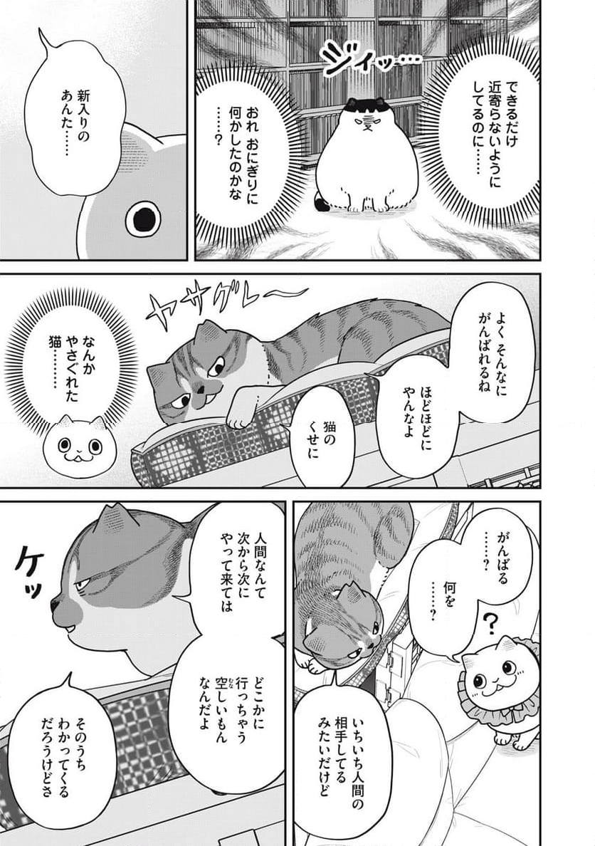 ツレ猫 マルルとハチ 第45話 - Page 3