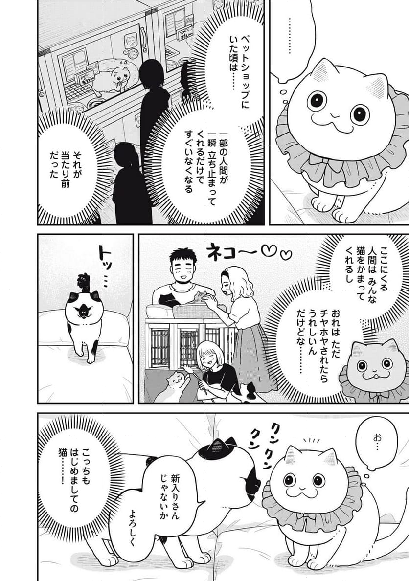 ツレ猫 マルルとハチ 第45話 - Page 4