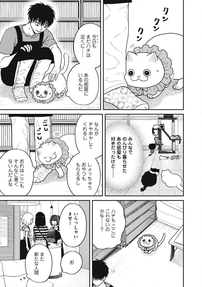 ツレ猫 マルルとハチ 第45話 - Page 7