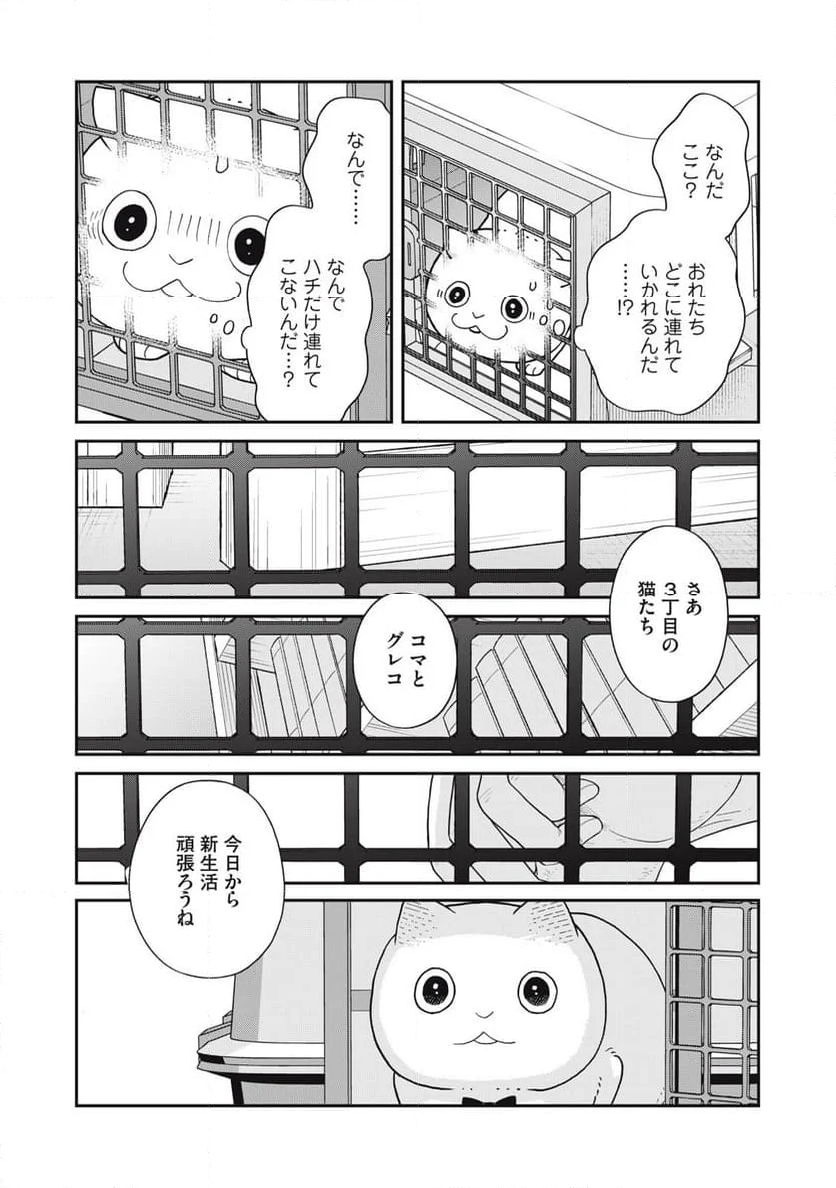 ツレ猫 マルルとハチ 第41話 - Page 11