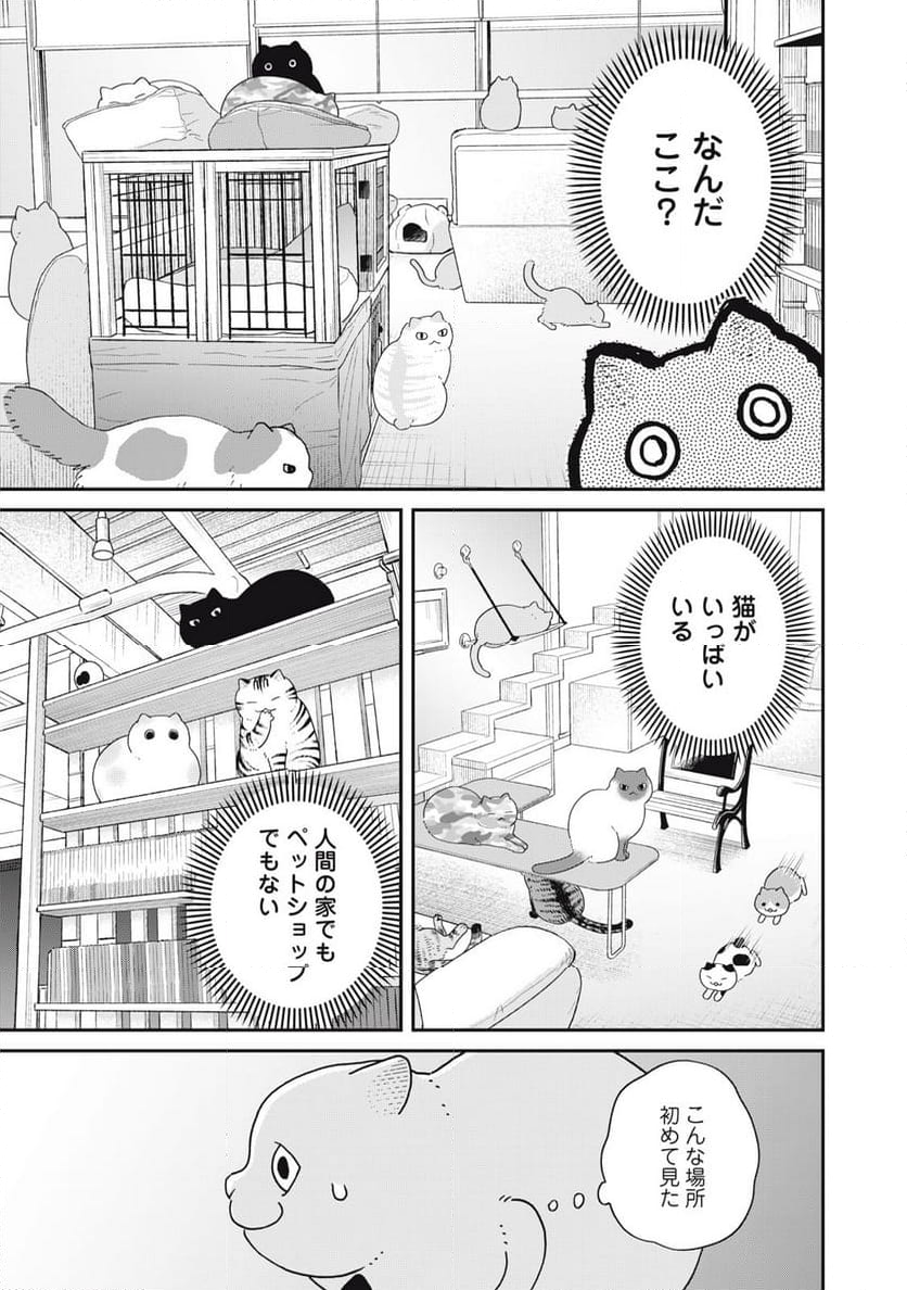 ツレ猫 マルルとハチ 第41話 - Page 15