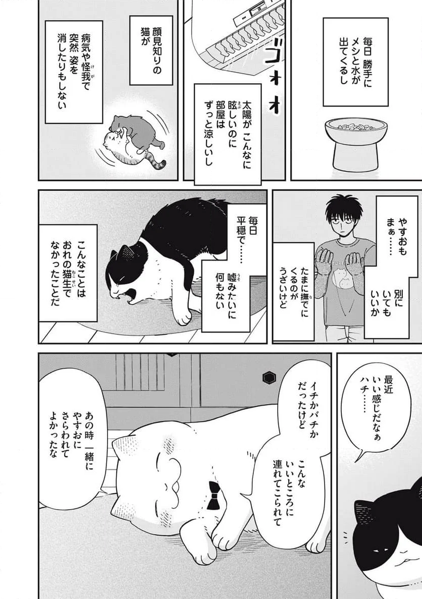 ツレ猫 マルルとハチ 第41話 - Page 6