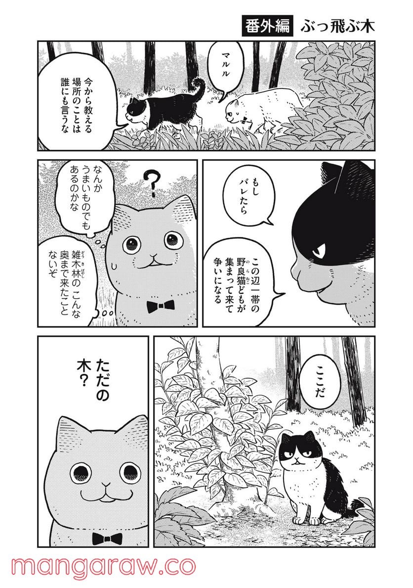 ツレ猫 マルルとハチ 第14話 - Page 1