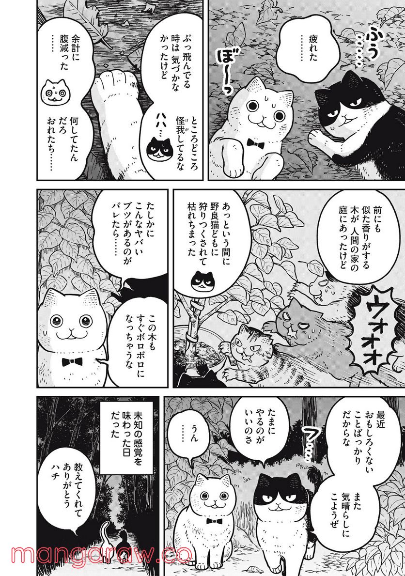 ツレ猫 マルルとハチ 第14話 - Page 4