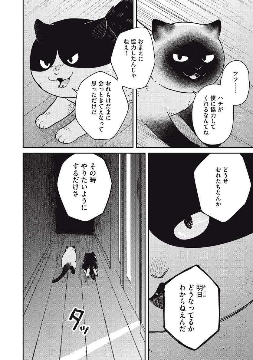 ツレ猫 マルルとハチ 第27話 - Page 12