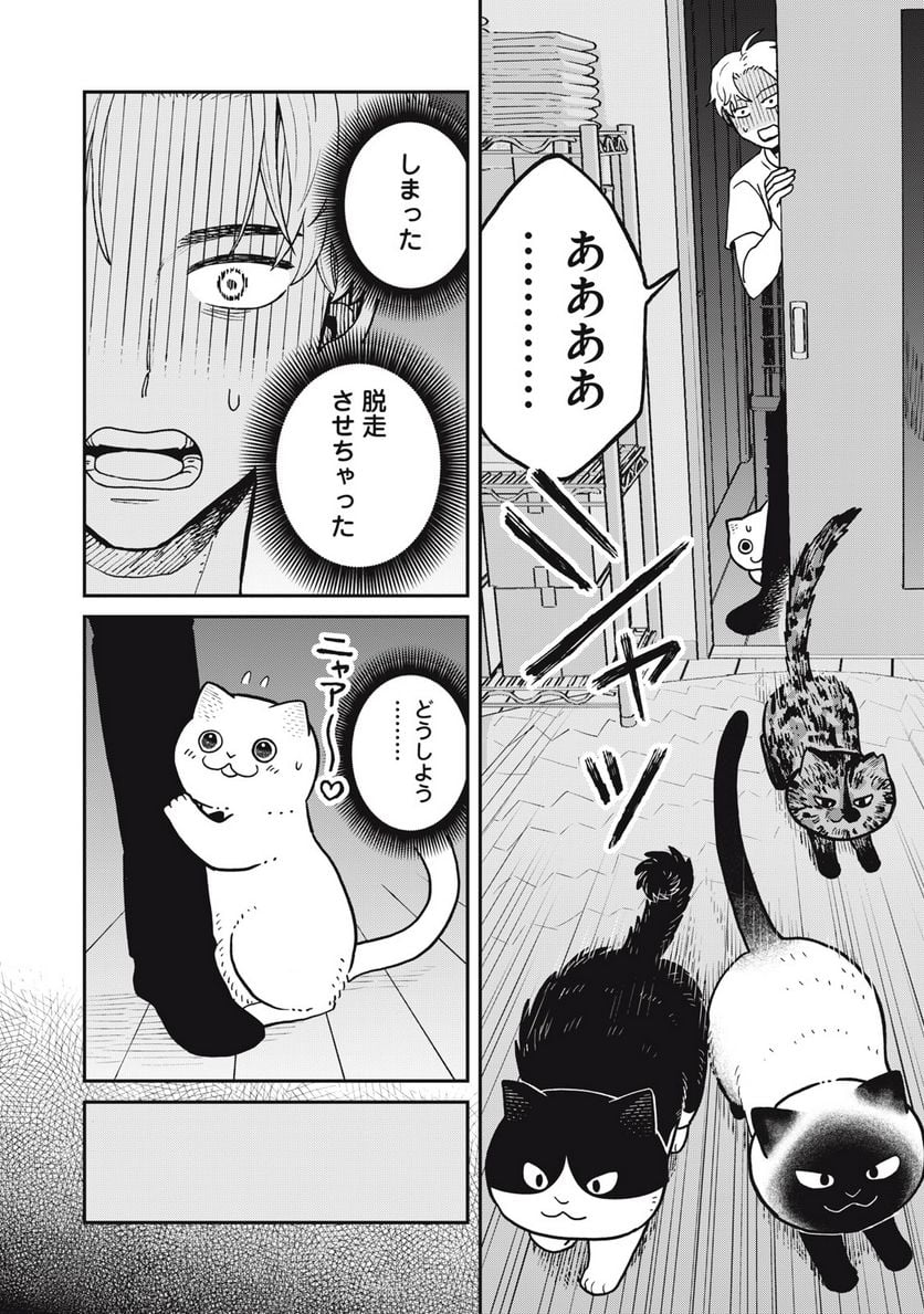 ツレ猫 マルルとハチ 第27話 - Page 8