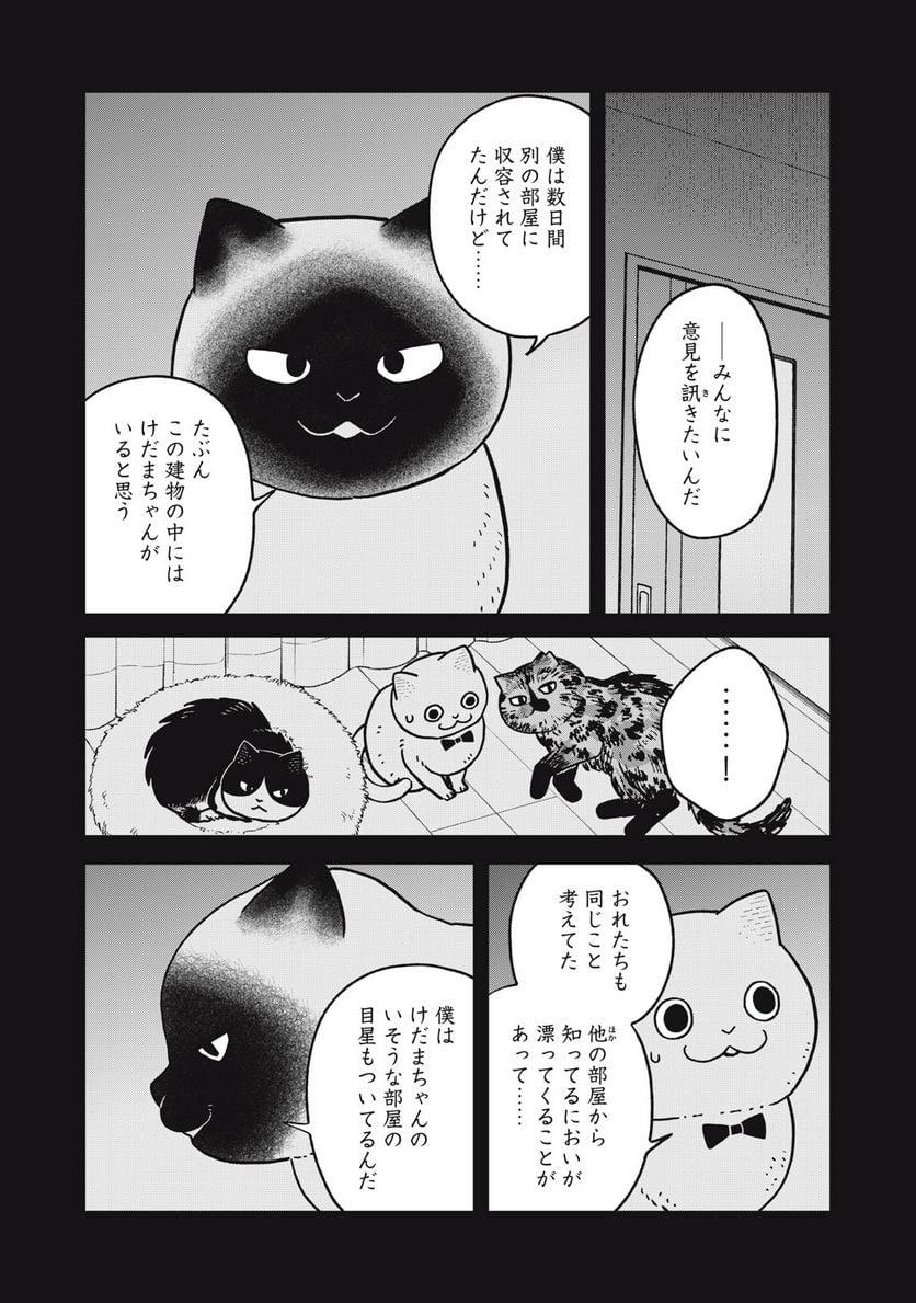 ツレ猫 マルルとハチ 第27話 - Page 9