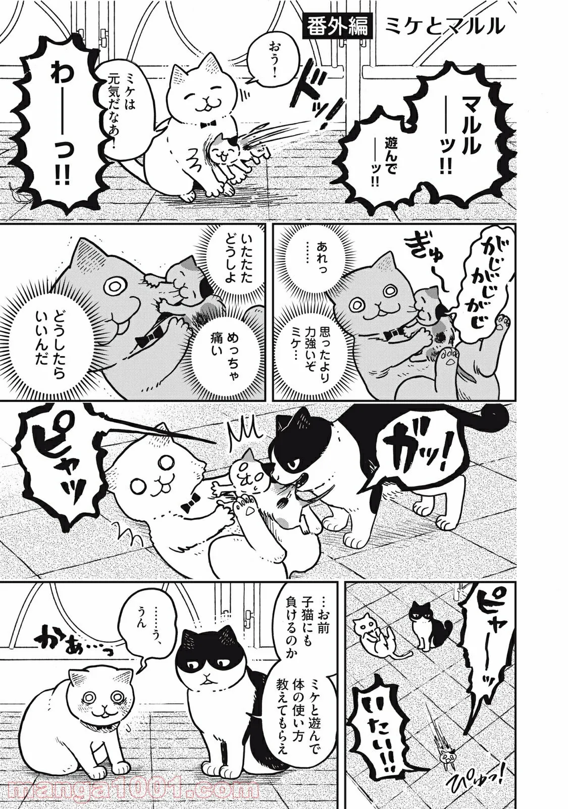 ツレ猫 マルルとハチ 第4.5話 - Page 3