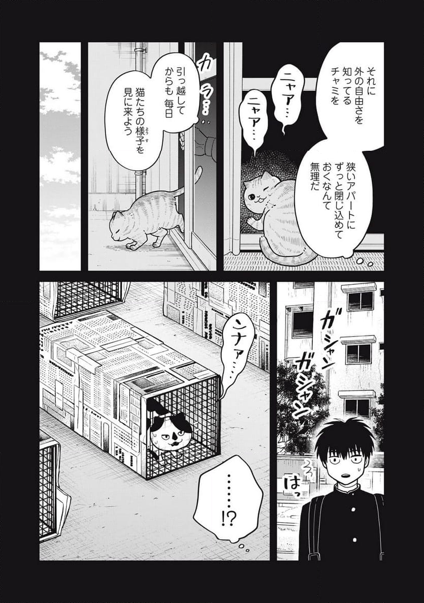 ツレ猫 マルルとハチ 第36話 - Page 6