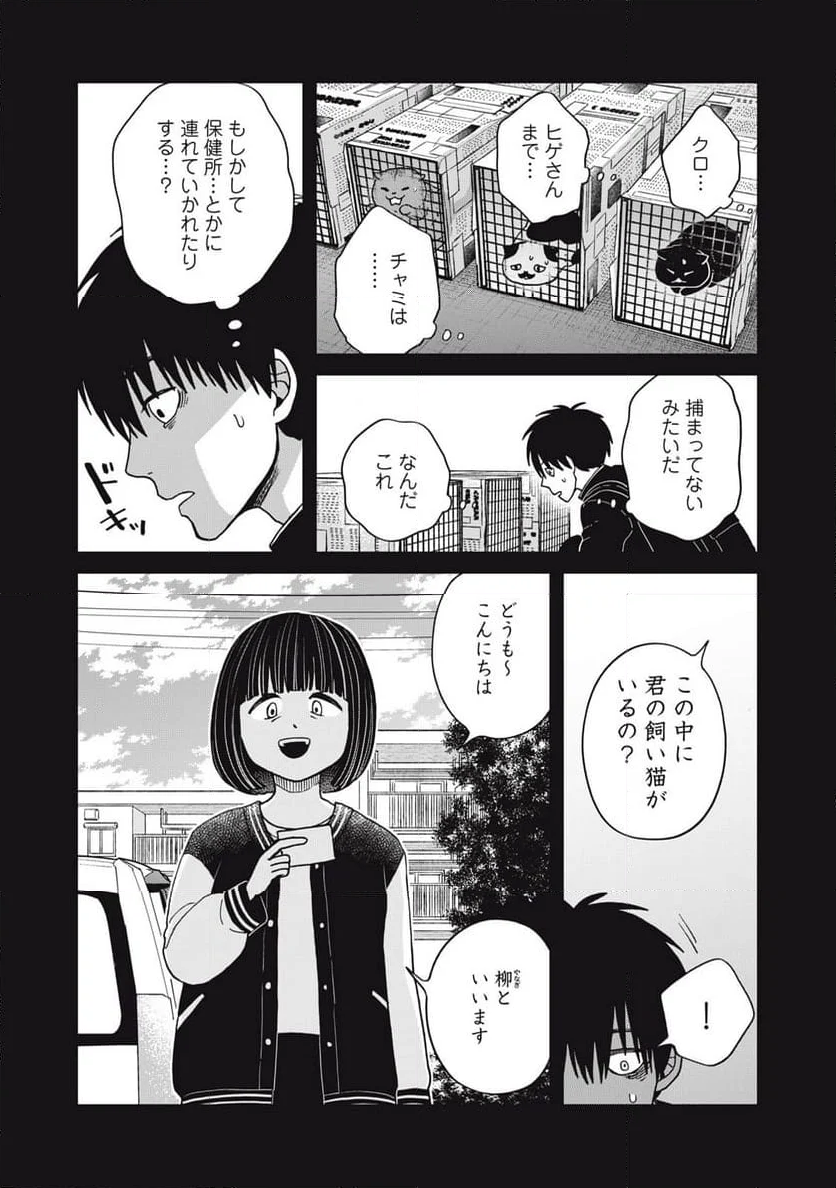 ツレ猫 マルルとハチ 第36話 - Page 8