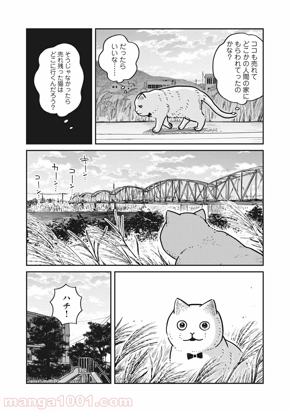 ツレ猫 マルルとハチ 第4話 - Page 5