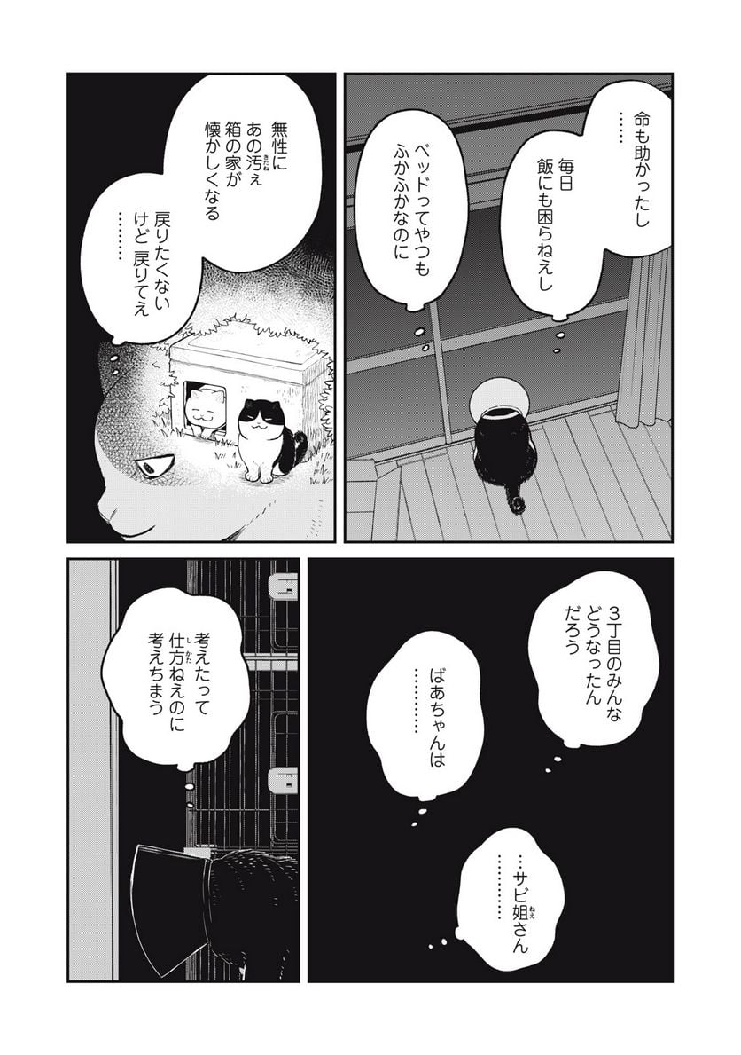 ツレ猫 マルルとハチ 第18話 - Page 2