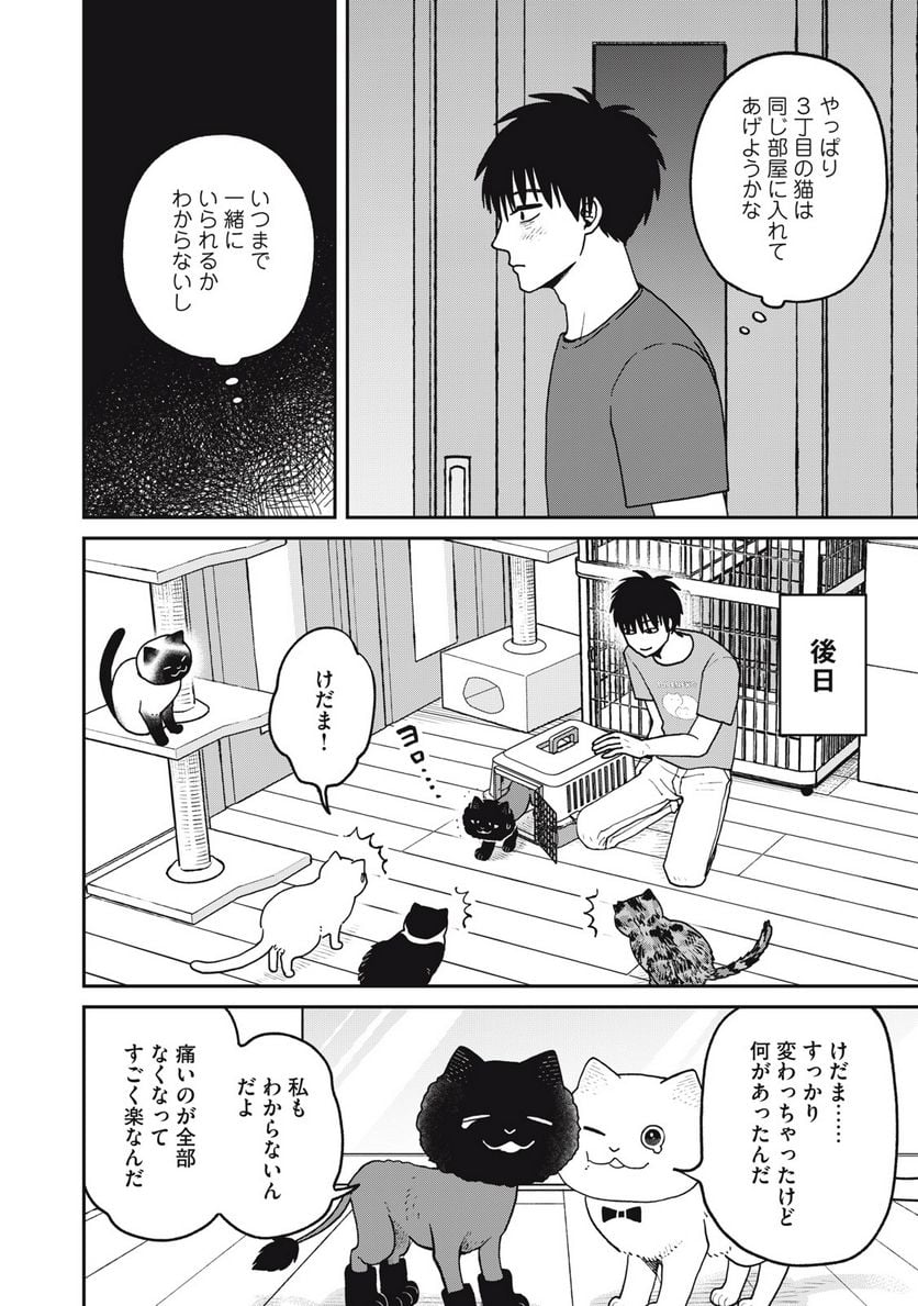 ツレ猫 マルルとハチ 第28話 - Page 10