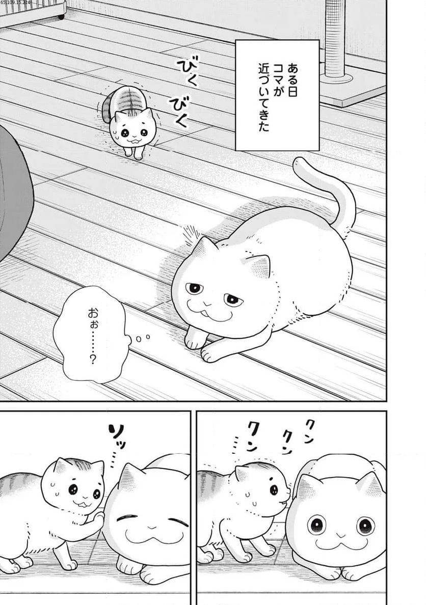 ツレ猫 マルルとハチ 第40話 - Page 1