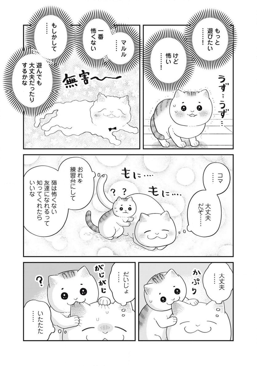 ツレ猫 マルルとハチ 第40話 - Page 3