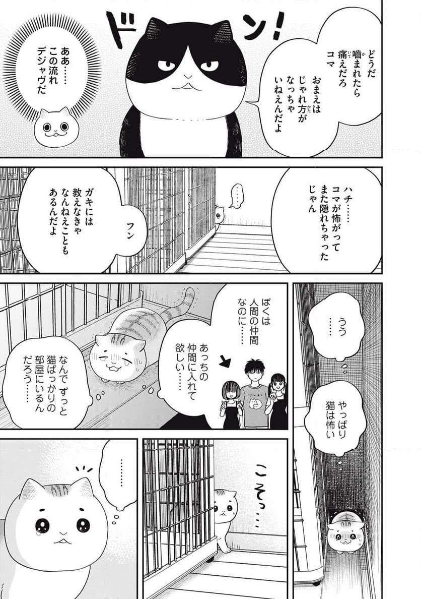 ツレ猫 マルルとハチ 第40話 - Page 5