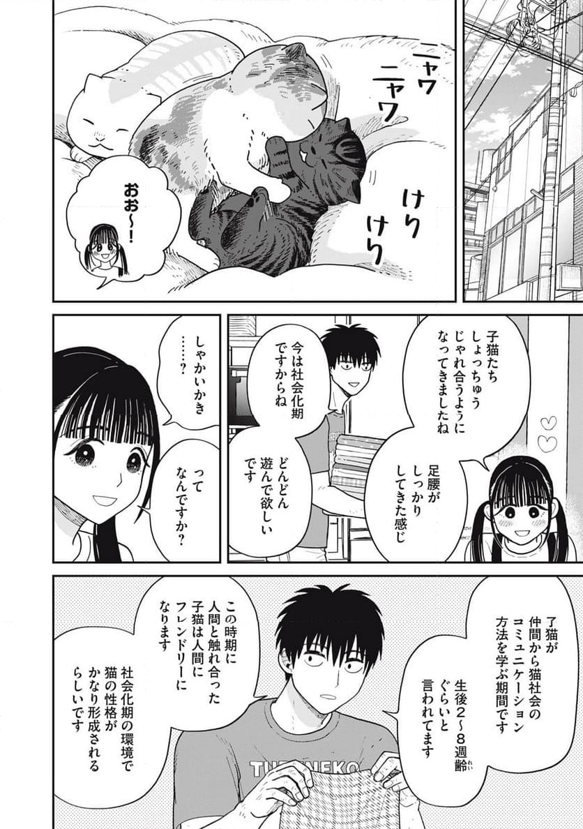 ツレ猫 マルルとハチ 第40話 - Page 6