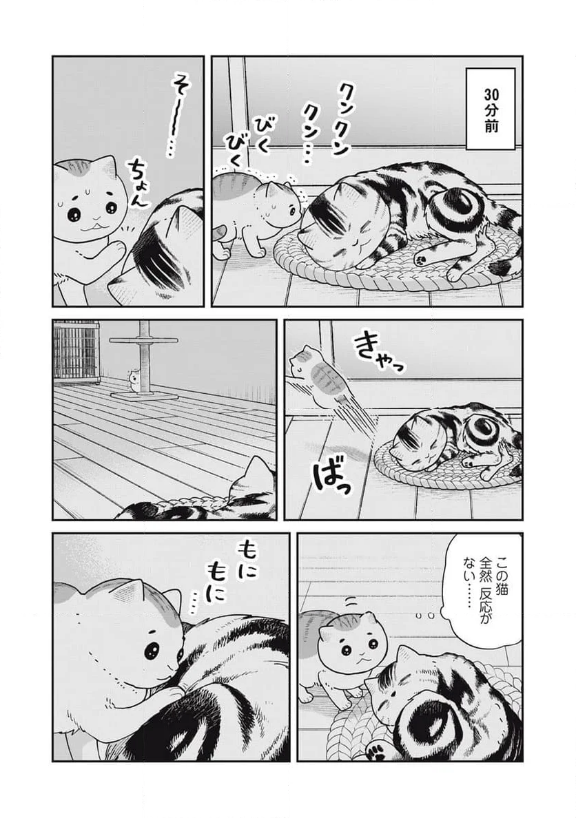 ツレ猫 マルルとハチ 第40話 - Page 10