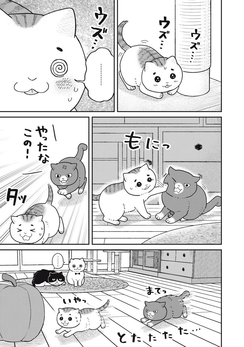 ツレ猫 マルルとハチ 第32話 - Page 3