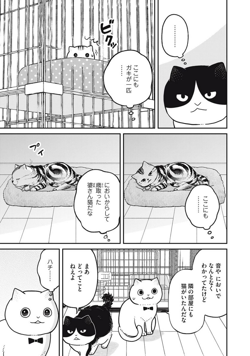 ツレ猫 マルルとハチ 第29話 - Page 5