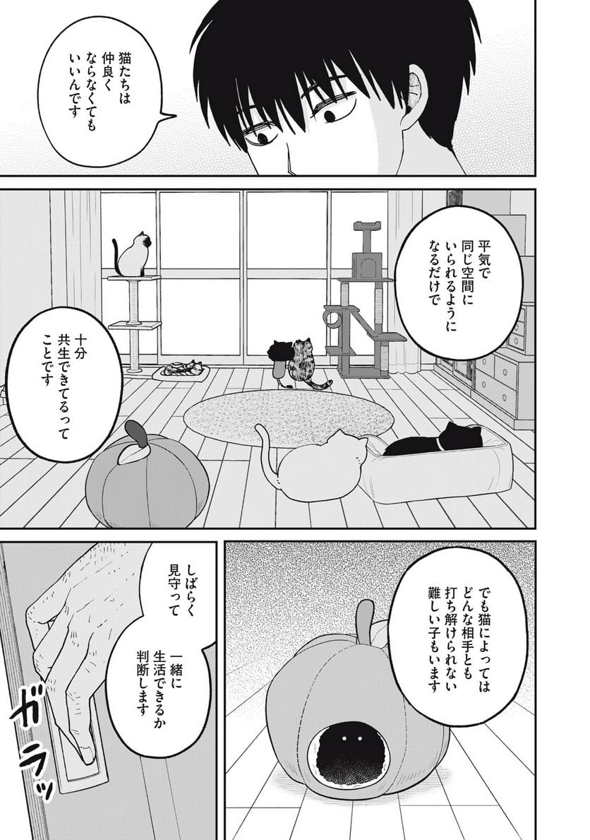 ツレ猫 マルルとハチ 第29話 - Page 7