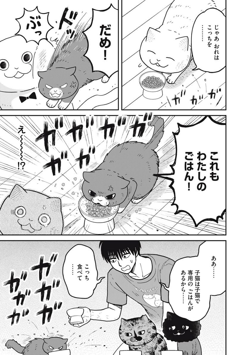 ツレ猫 マルルとハチ 第29話 - Page 9