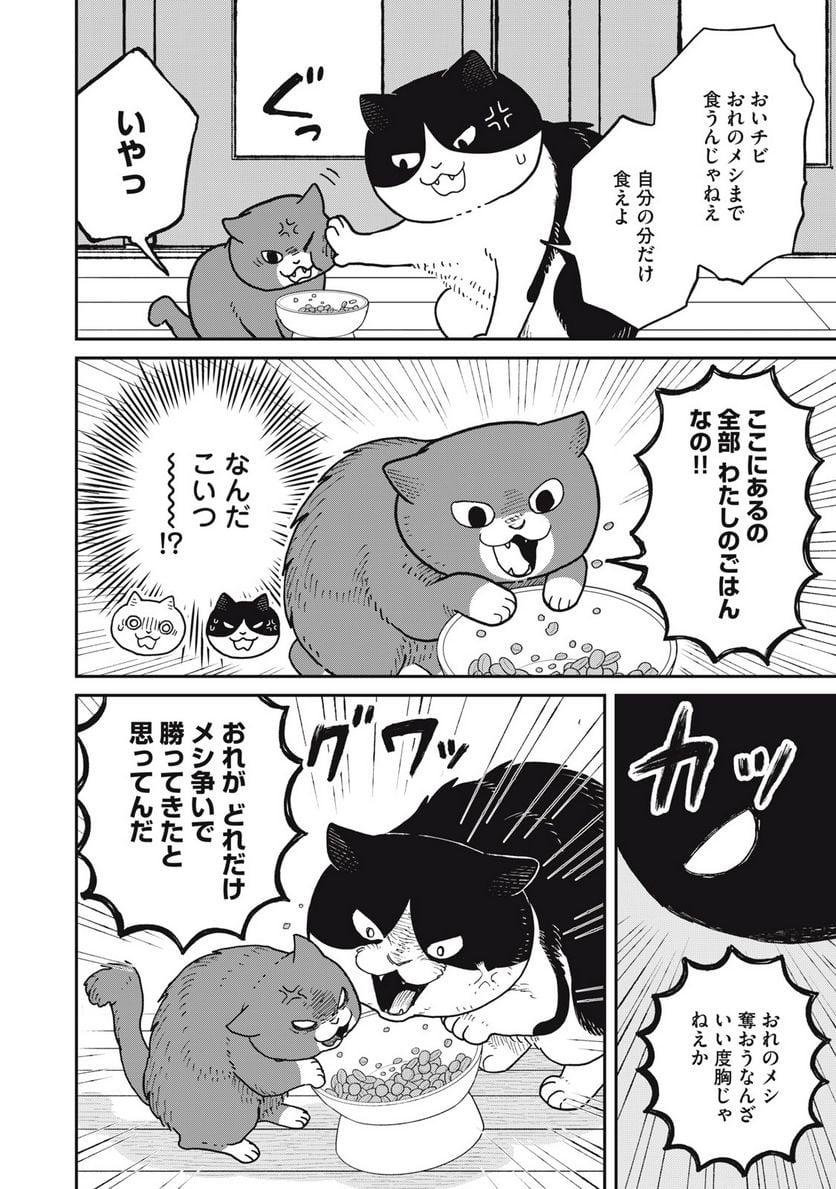 ツレ猫 マルルとハチ 第29話 - Page 10