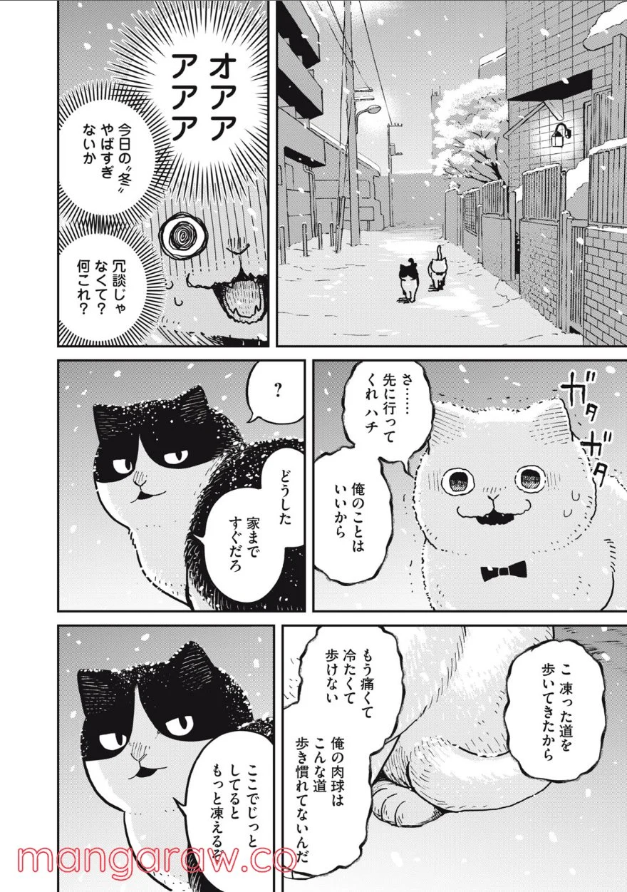 ツレ猫 マルルとハチ 第7話 - Page 2