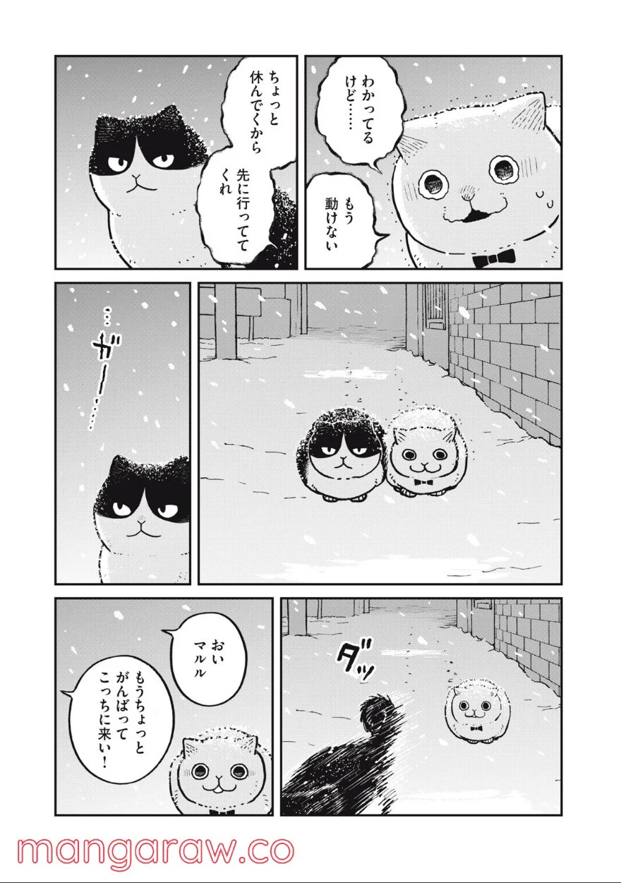 ツレ猫 マルルとハチ 第7話 - Page 3