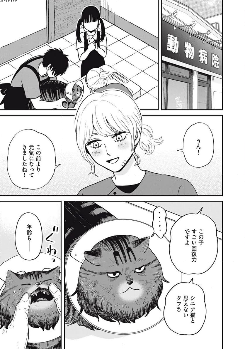 ツレ猫 マルルとハチ 第46話 - Page 1