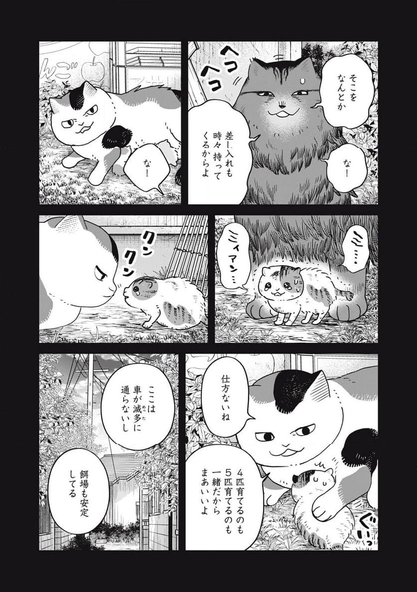 ツレ猫 マルルとハチ 第46話 - Page 11