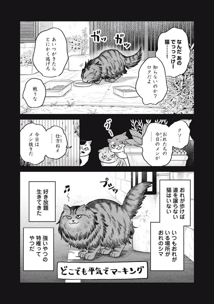 ツレ猫 マルルとハチ 第46話 - Page 7