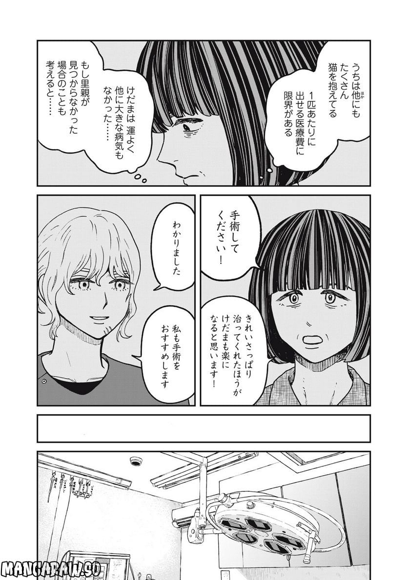 ツレ猫 マルルとハチ 第24話 - Page 11