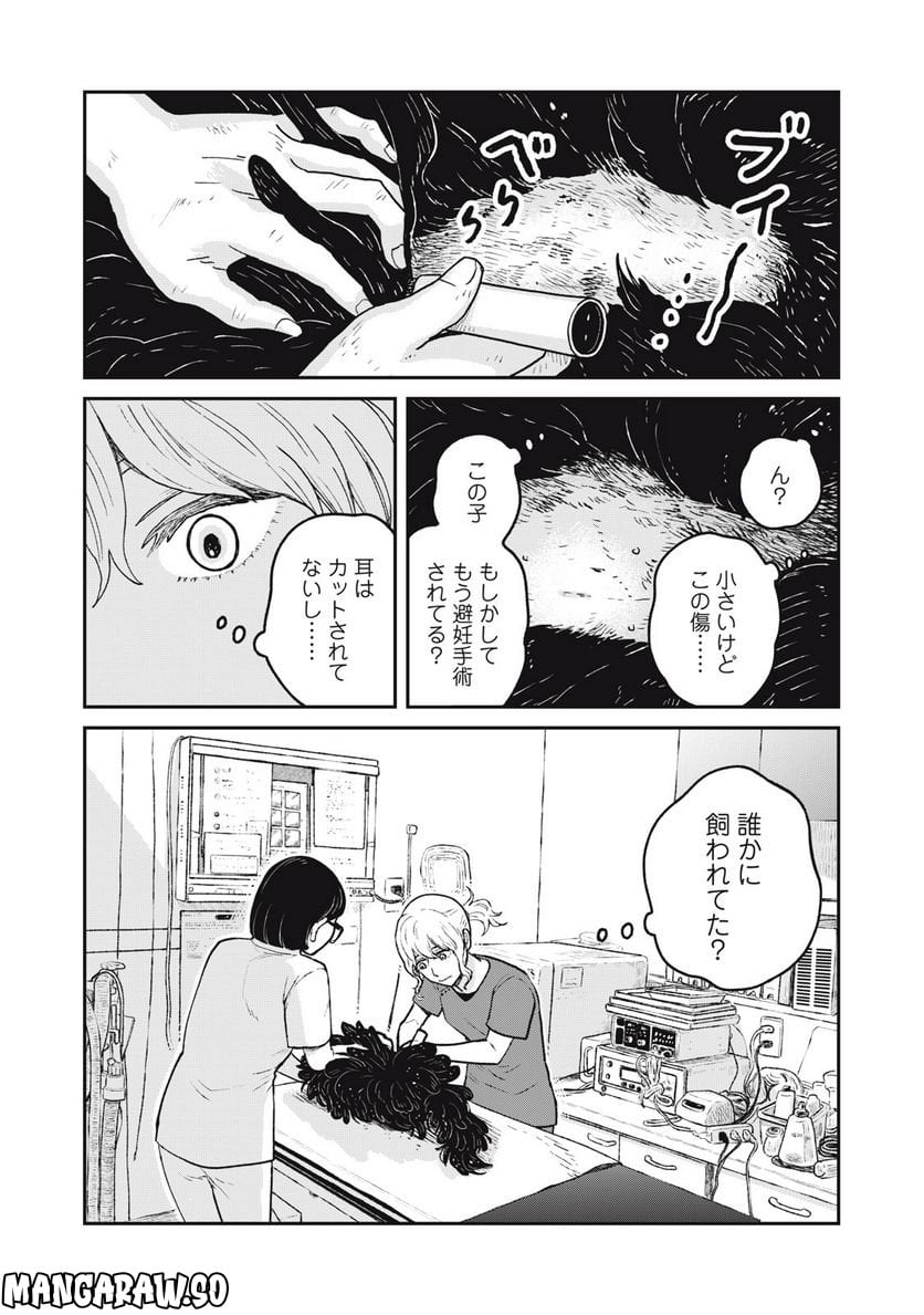 ツレ猫 マルルとハチ 第24話 - Page 13