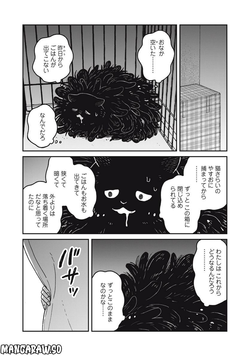 ツレ猫 マルルとハチ 第24話 - Page 7