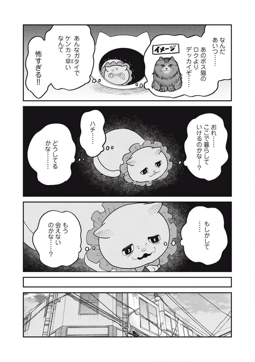 ツレ猫 マルルとハチ 第42話 - Page 11