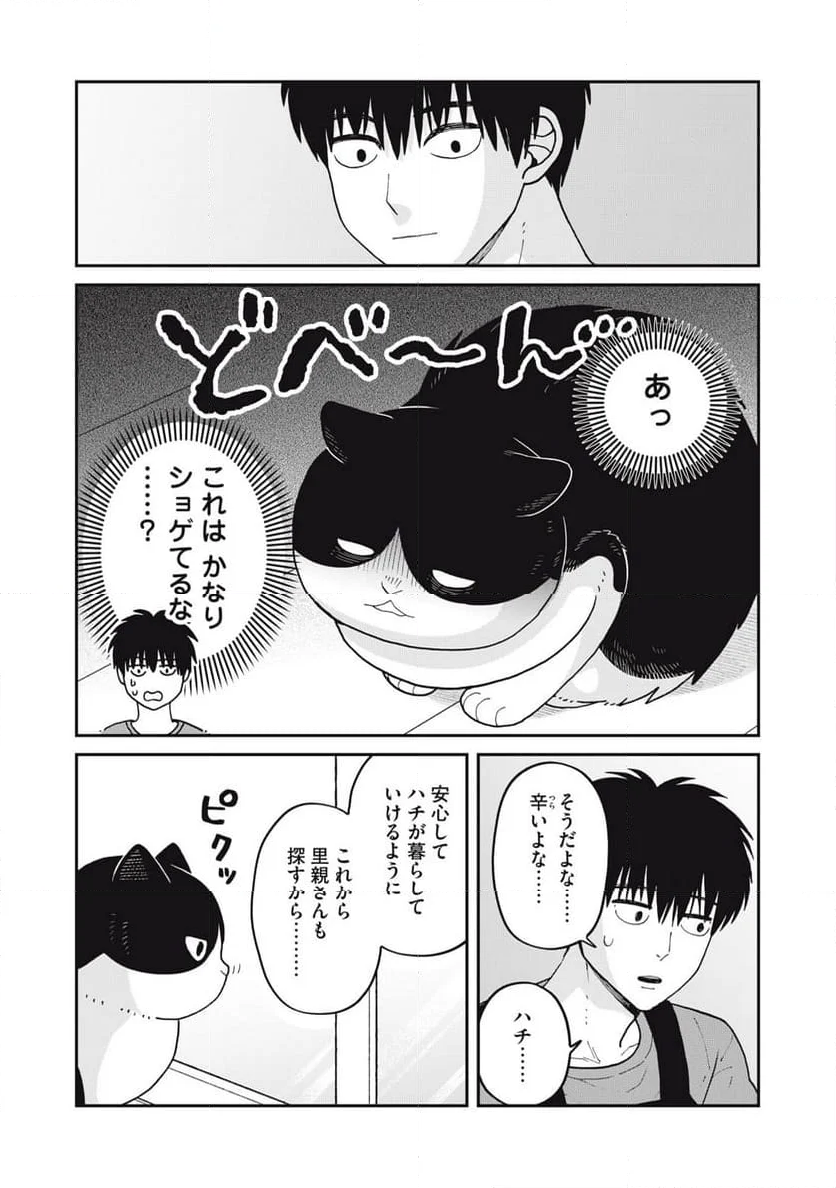 ツレ猫 マルルとハチ 第42話 - Page 13