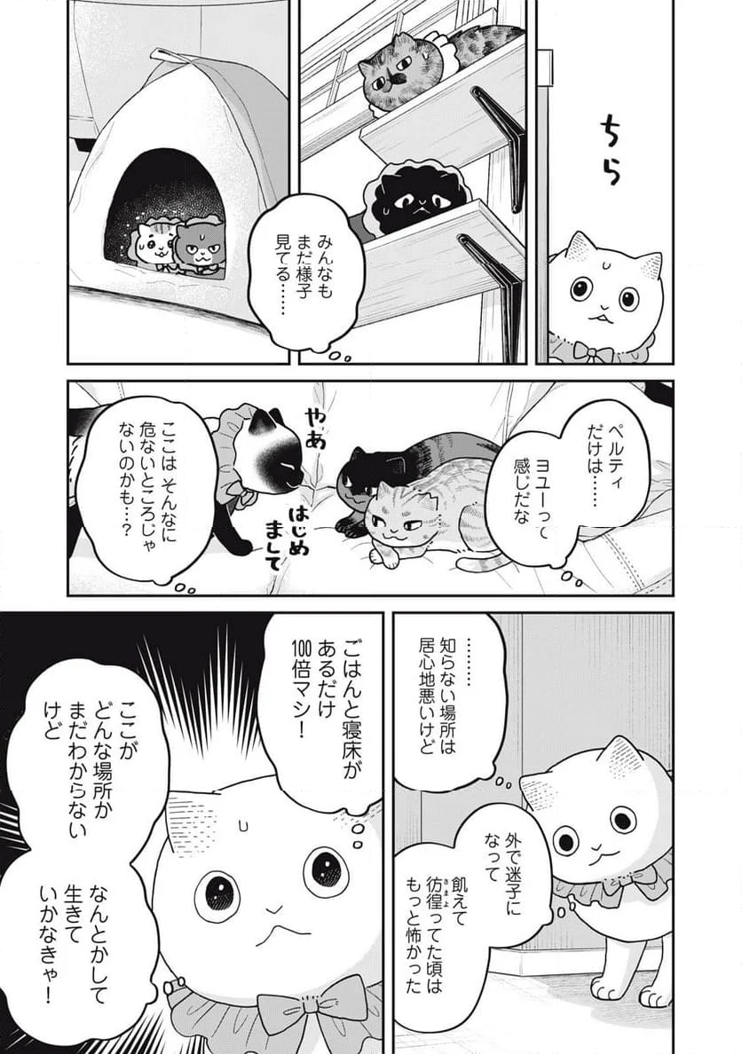 ツレ猫 マルルとハチ 第42話 - Page 5