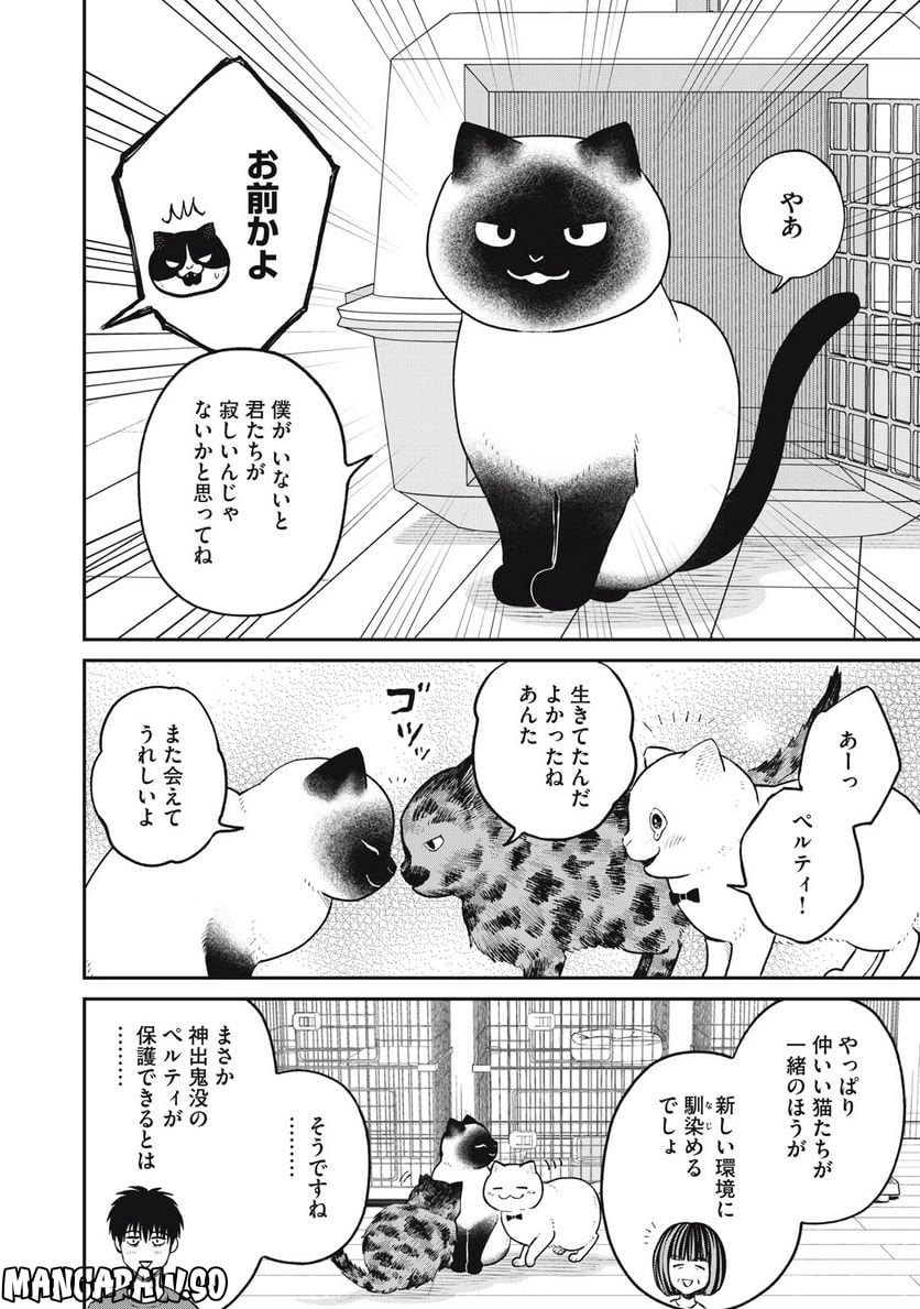 ツレ猫 マルルとハチ 第26話 - Page 2