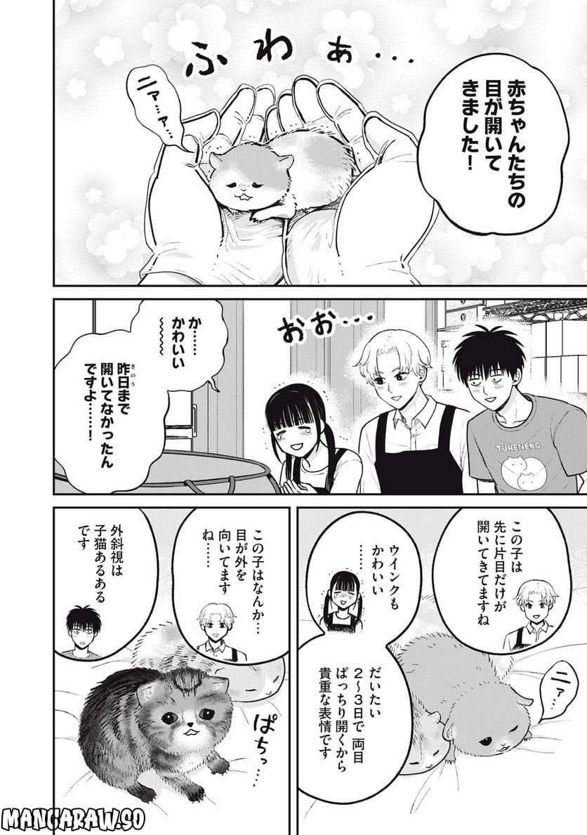 ツレ猫 マルルとハチ 第26話 - Page 4