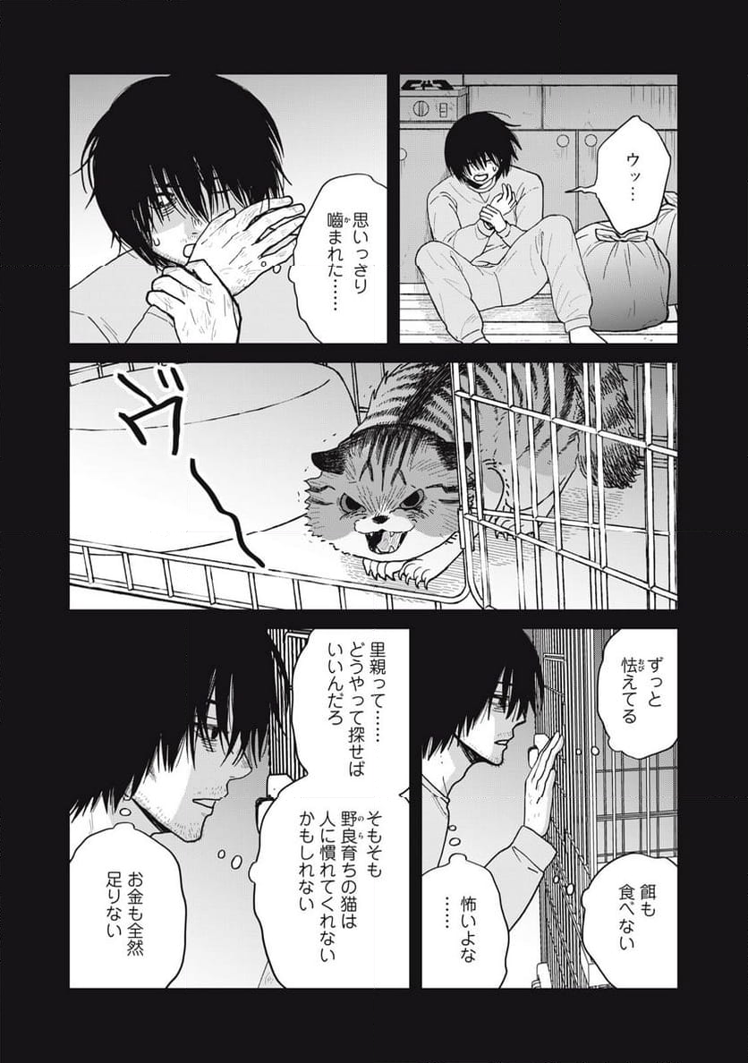 ツレ猫 マルルとハチ 第37話 - Page 8