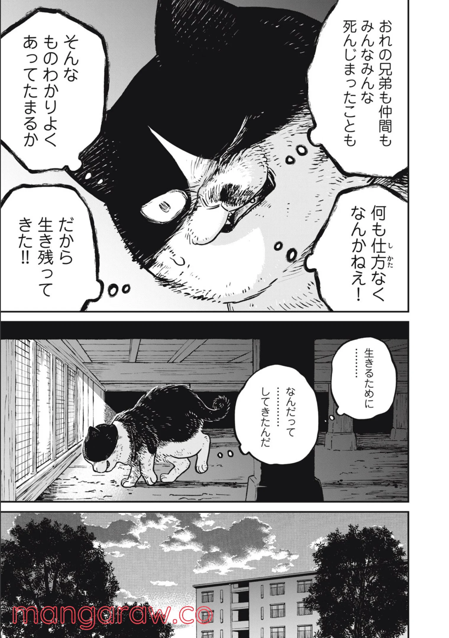 ツレ猫 マルルとハチ 第11話 - Page 7