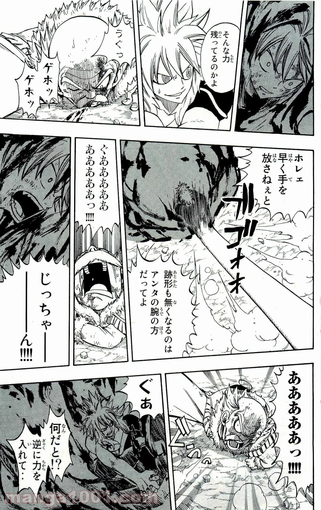 フェアリーテイル 第219話 - Page 13