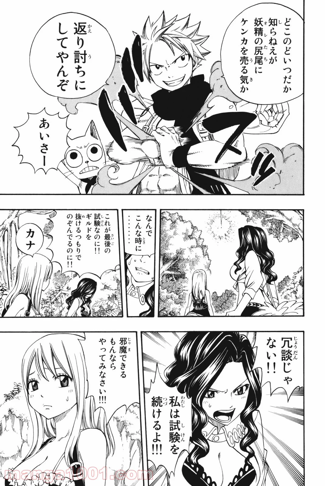 フェアリーテイル 第213話 - Page 3