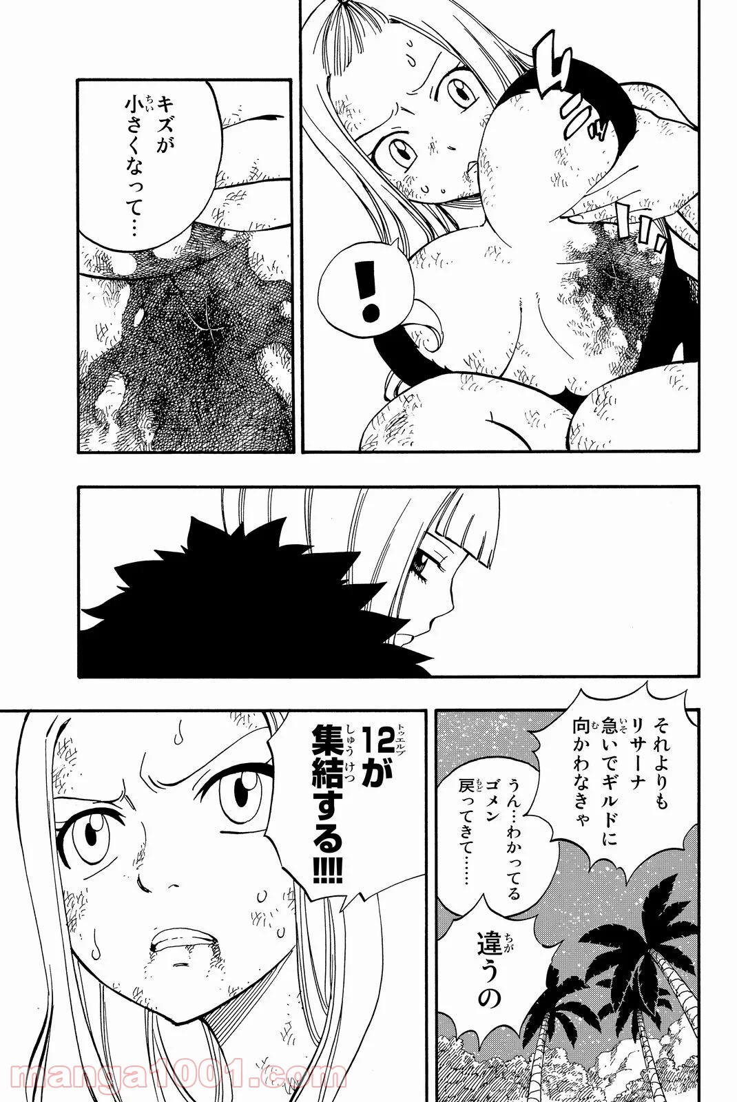 フェアリーテイル 第493話 - Page 17