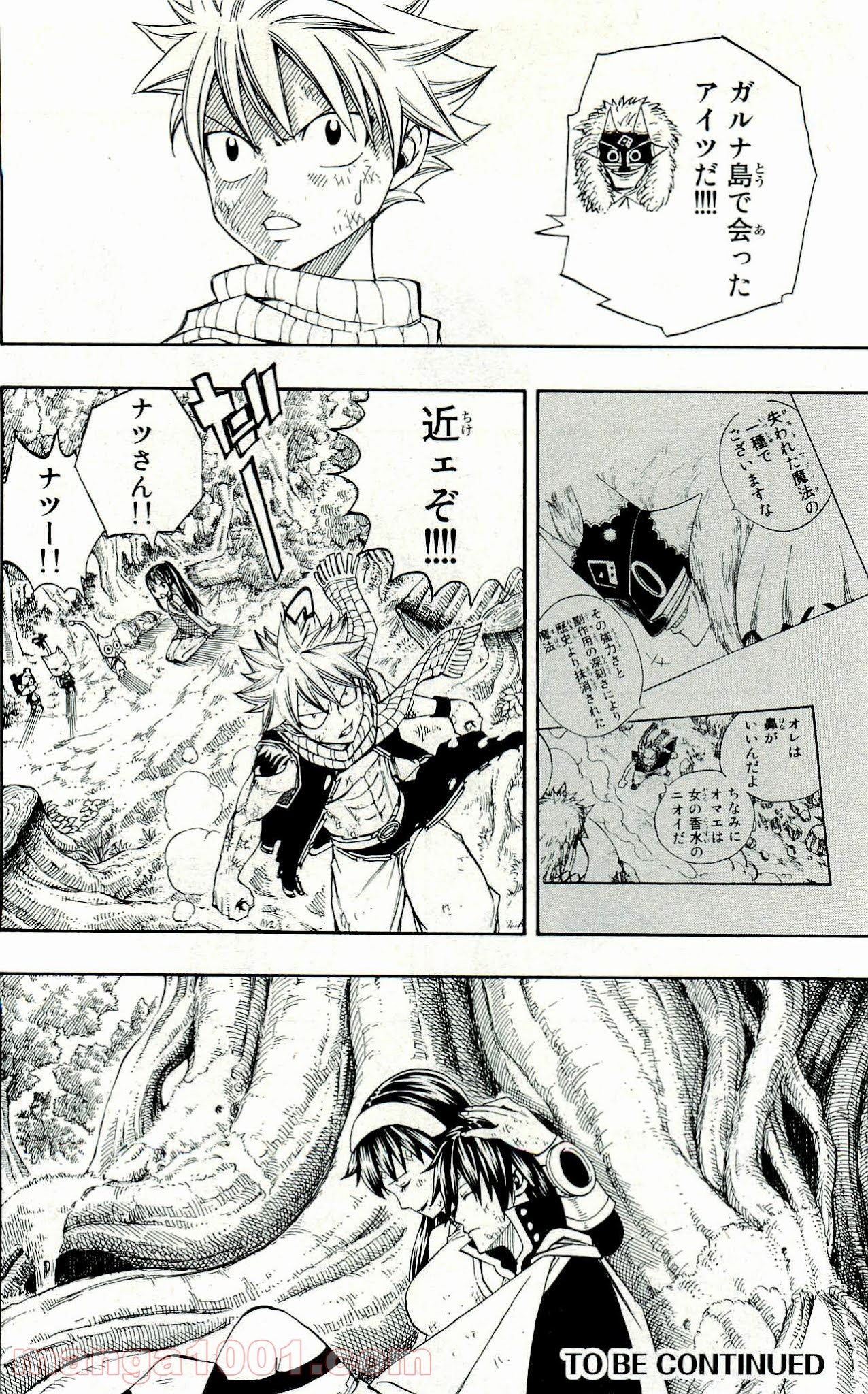 フェアリーテイル 第222話 - Page 20